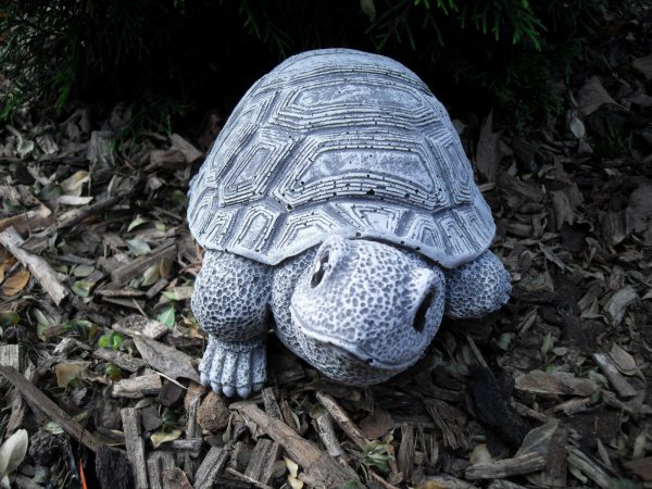 Steinfigur natürliche Schildkröte – Bild 3
