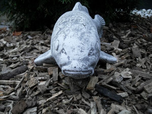 Steinfigur Koi (33cm) Frostfest Steinguss Teich Garten Fisch Deko – Bild 3