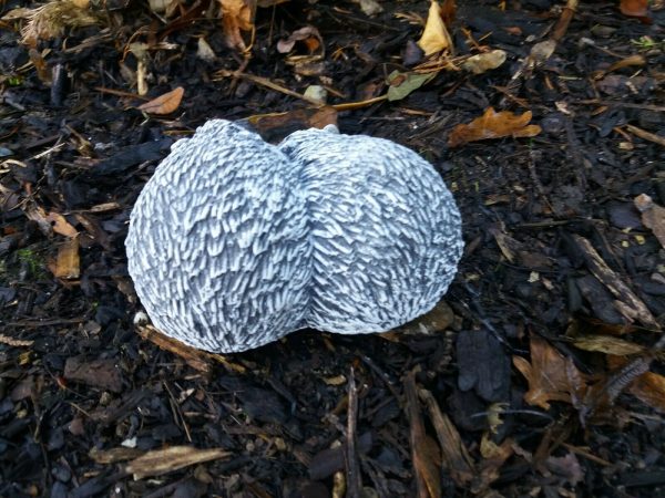Steinfigur 2-er Igel Frostfest Wetterfest Steinguss Garten Deko – Bild 6