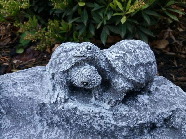 schöne Vogeltränke Schildkröten Steinguss Frostfest Wetterfest Garten Deko – Bild 7