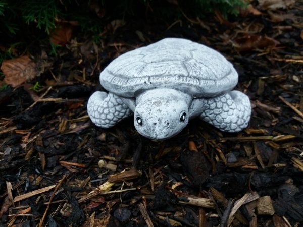 Steinfigur schöne Wasserschildkröte Frostfest Steinguss Wetterfest Garten – Bild 4